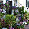 This shop in Marblehead, MA is a fine example of New England design style. (Photo: Massachusetts Office of Travel and Tourism/Flickr)