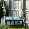 Building a cold frame or mini greenhouse extends your growing season. (Bev Lloyd-Roberts/sxc.hu)