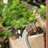 It looks like this leaking garden hose needs a new o-ring. (photo: floop/istockphoto.com)