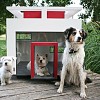 Cubix by Hundehaus via Bestfriendshome.com