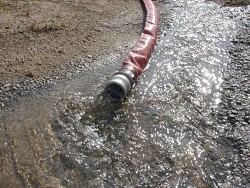 A sump pump in a flooded basement.  Photo: dewlittle/stock.xchng