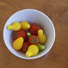 Organic gardener Jordan Laio is here with tips for growing beautiful, delicious tomatoes.