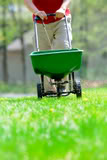 Fertilizing the lawn