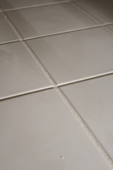 Ceramic Tile and Grout Detail