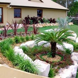 Rocks in front yard