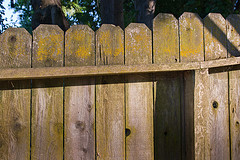 Should You Repair or Replace Your Fence?