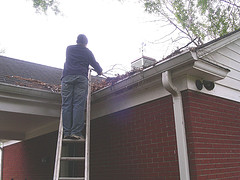 On the ladder, fixing the roof