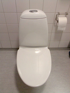 Dual-flush toilet