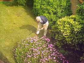 Photo of a man gardening by Mariegriffiths/Wikimediacommons