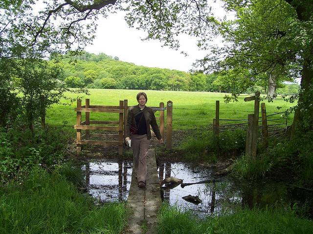 Yet another use for planks: bridges! Photo: Andrew Bowden/Flickr