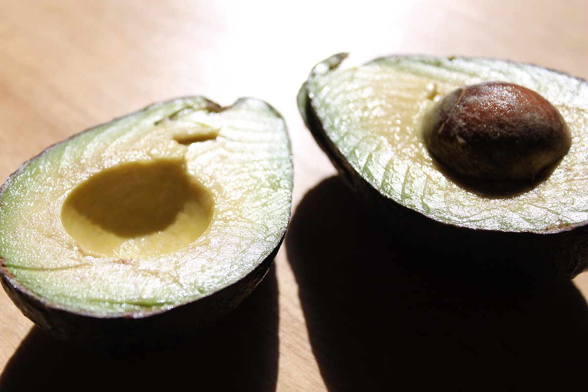 Avocados have so many uses, from facial cleanser to pie filling. (Photo by s.e. smith for Networx.)