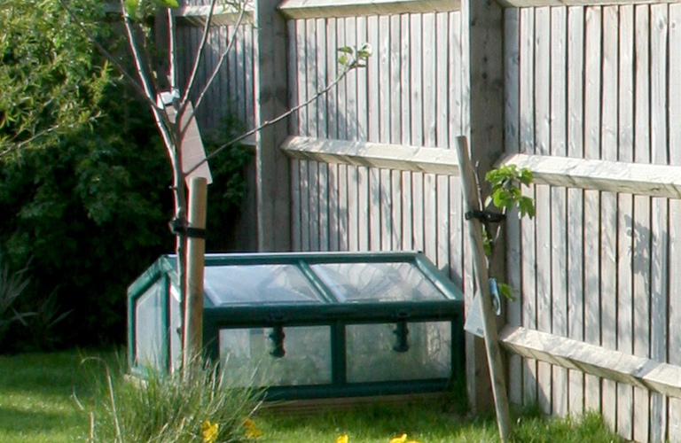 Building a cold frame or mini greenhouse extends your growing season. (Bev Lloyd-Roberts/sxc.hu)