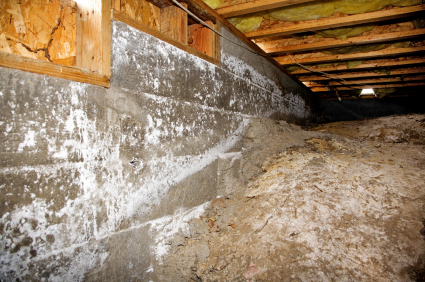 Insulating crawl space on sale with dirt floor