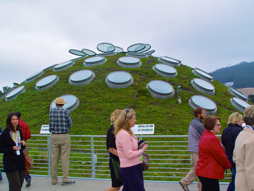 The green roof at the California Academy of Sciences. --Adam