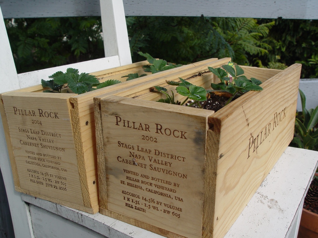 My own wine crate planters. --Adam