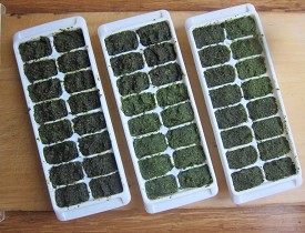 Freeze homemade pesto in ice cube trays and you'll be ready for pasta anytime. (Photo: Sayward Rebhal for Networx.com)