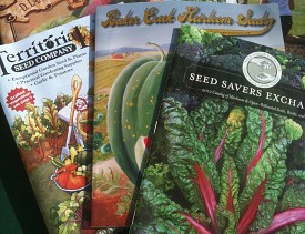 My seed catalogs. --Jordan