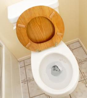 tip_woodtoiletseat2_4370b6776585691ef4d5