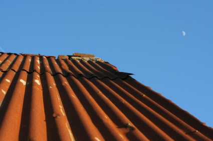 Roof starting to rust