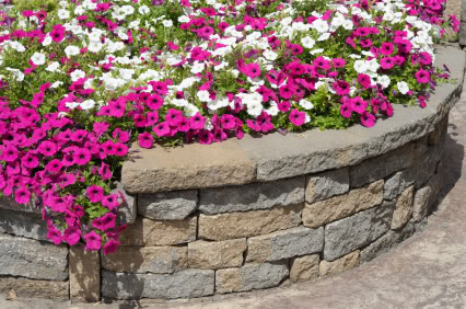 concrete retaining wall in garden