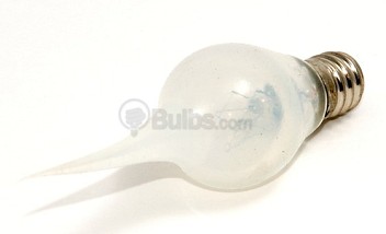 Photo: Bulbs.com