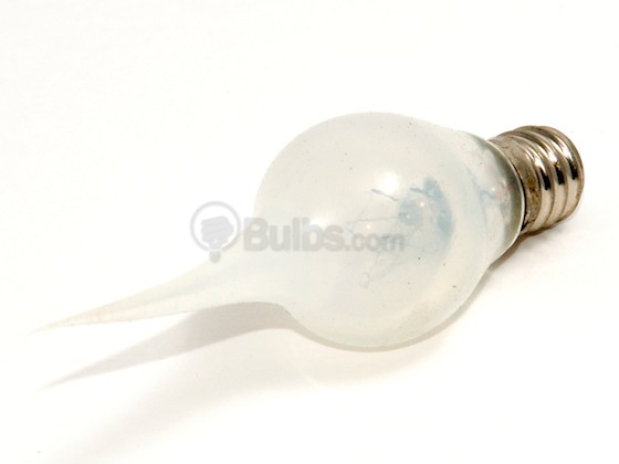 Photo: Bulbs.com