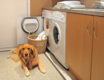 washer under counter