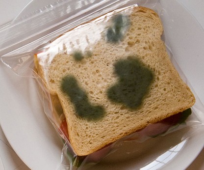 Anti-theft lunch bag/thisiswhyimbroke.com