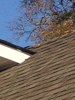 After repair roof looks great