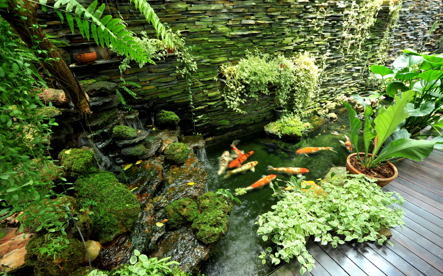 Photo of a koi pond and garden by Sutsaiy/istockphoto.com.