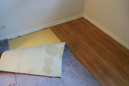 Guest Room Carpet Removal 2011-1