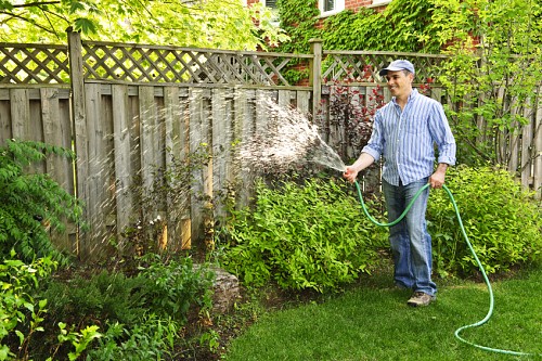 Man watering garden near tall fence