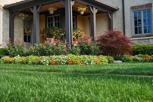 Beautifully tended lawn and garden/courtesy of Scotts Miracle-Gro