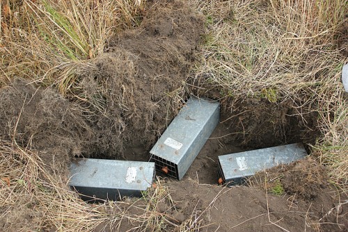 Photo of Pocket Gopher traps by USFWS Pacific/Flickr.