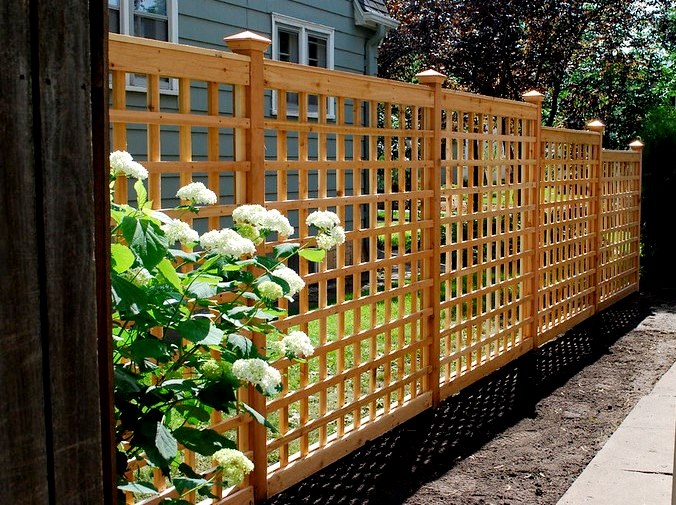 Most Popular Wood Privacy Fence Styles