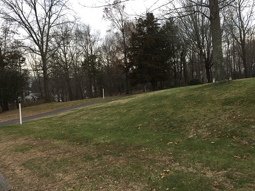 2-acre lot cleaned up
