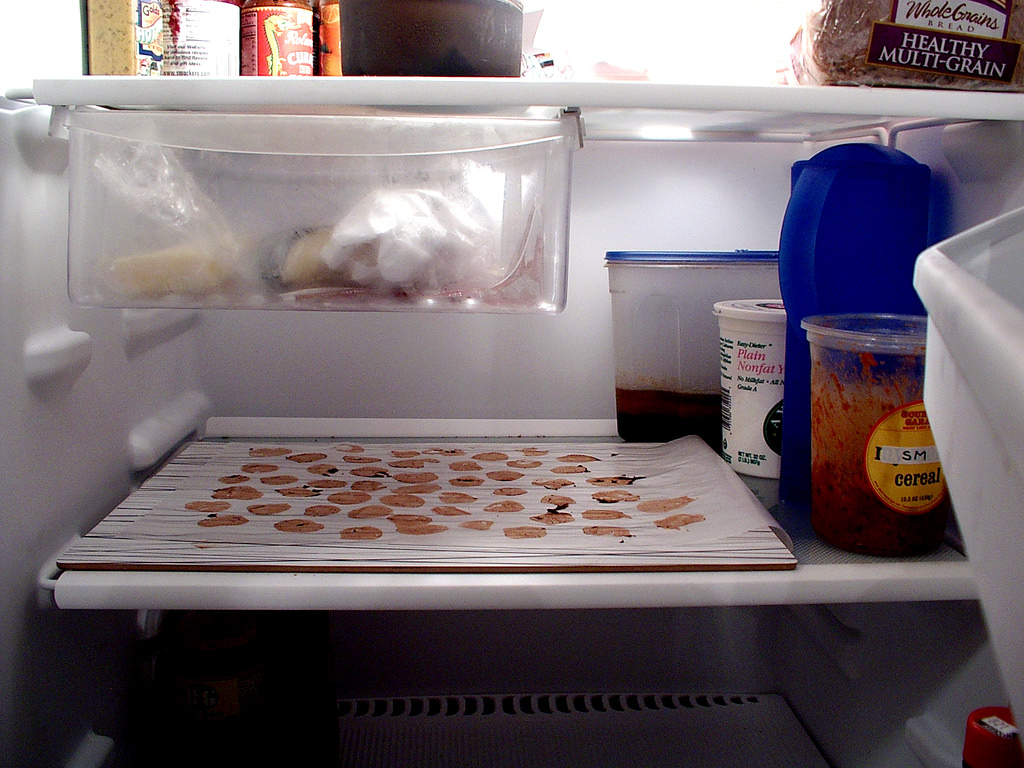 Must-Have Fridge Organizers on : How To Keep Your Fridge Tidy -  Thrillist