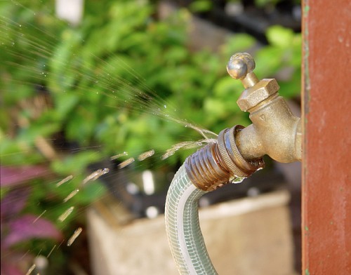 It looks like this leaking garden hose needs a new o-ring. (photo: floop/istockphoto.com)