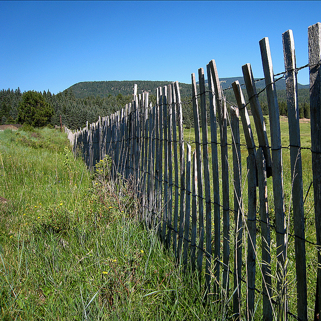 Who Pays for Fence Replacement?