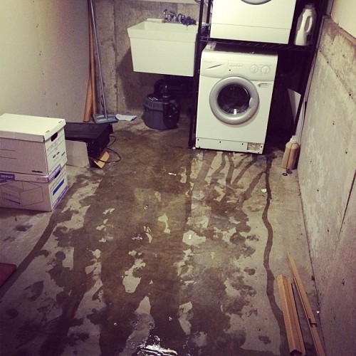 Damp basement Aaron Parecki / flickr   