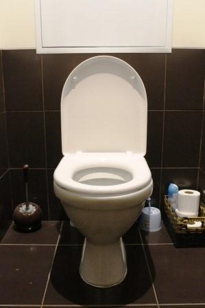  Toilet Svyatoslav / Pixabay 
