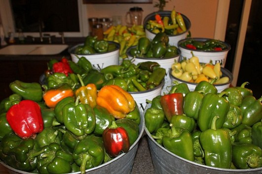 Peppers and photo by Old World Garden Farms via Hometalk.com.