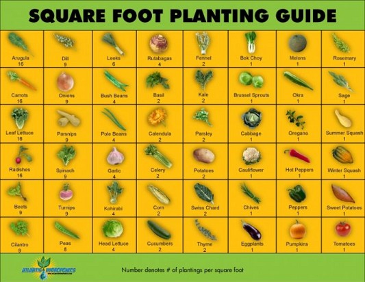 Guide to square foot gardening by Garden Therapy via Hometalk.com.