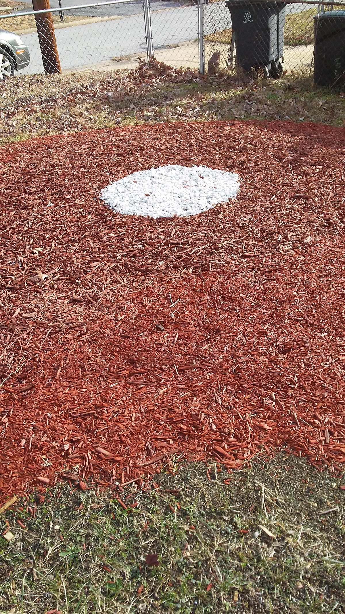 Site of shrubbery removal