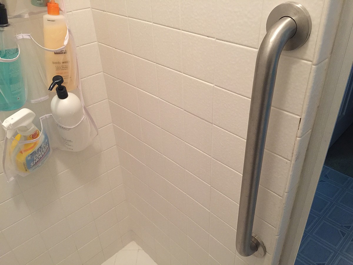 Vertical shower safety rail 