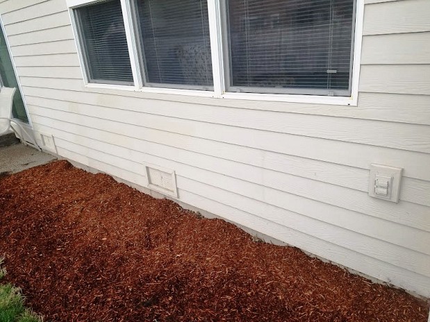 Siding replacement and painting