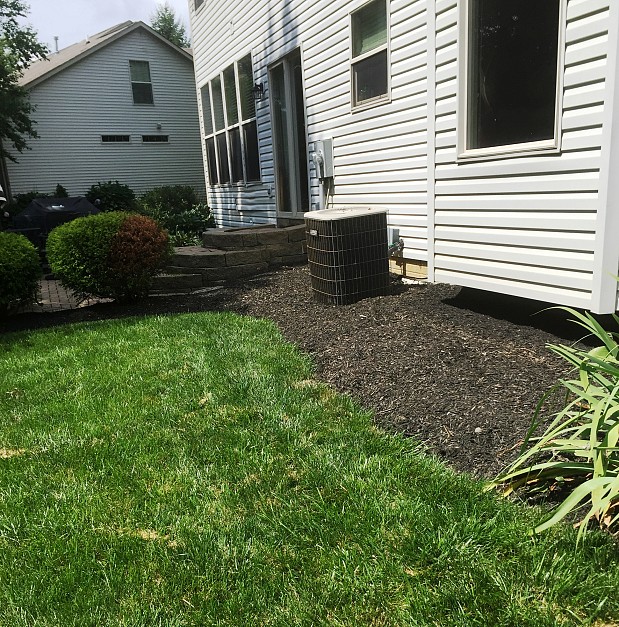Yard clean up, edging and mulching