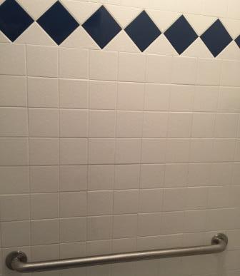 Horizontal shower grab bar