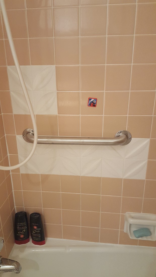 Shower rail installation