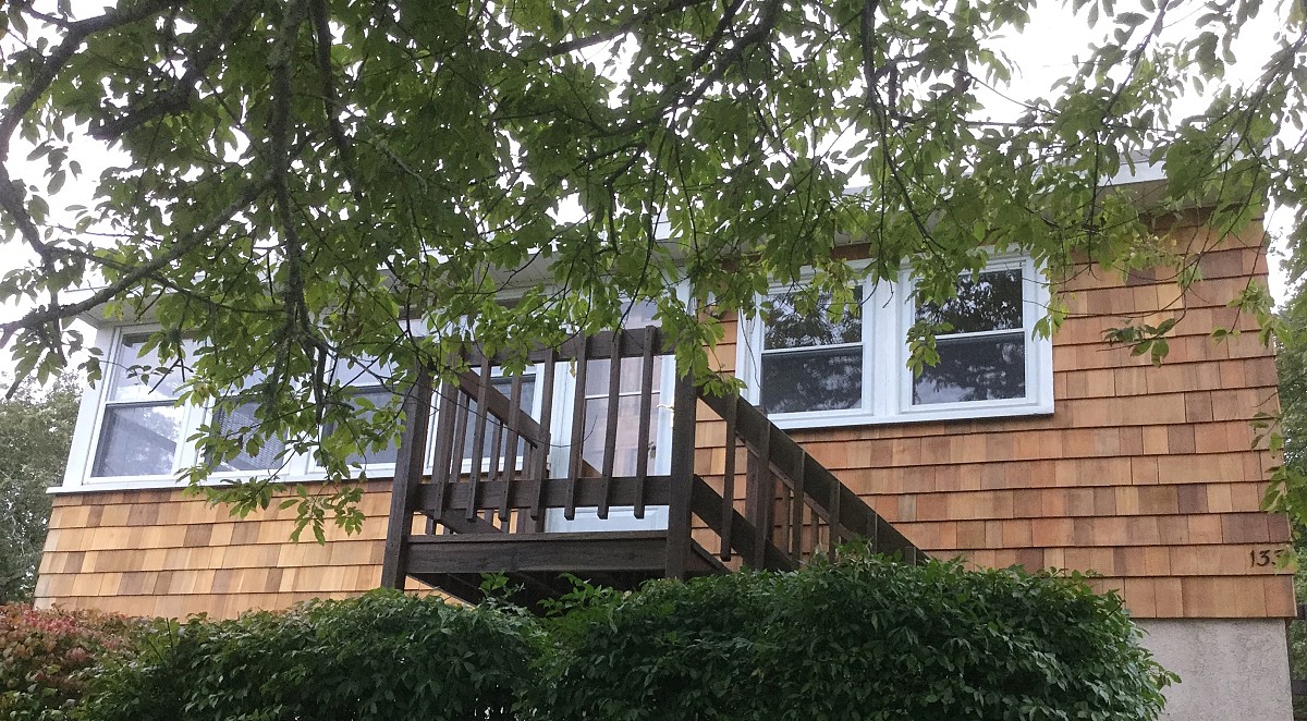 Cedar siding replacement